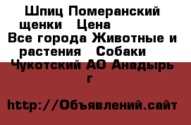 Шпиц Померанский щенки › Цена ­ 25 000 - Все города Животные и растения » Собаки   . Чукотский АО,Анадырь г.